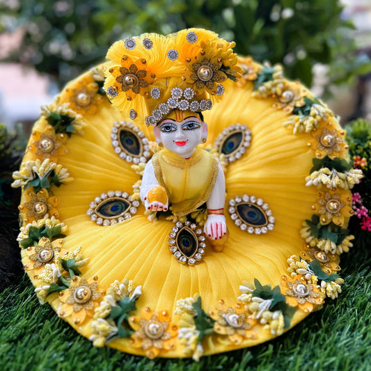 Yellow Peacock