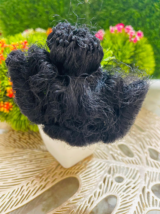 Hairs For Laddu Gopal